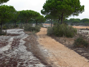 Vistas de la ruta